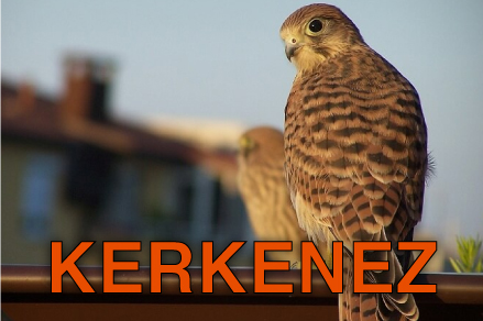 Kerkenez